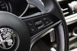 Alfa Romeo Stelvio 2.2D Turbo AT8 | 2018 completo